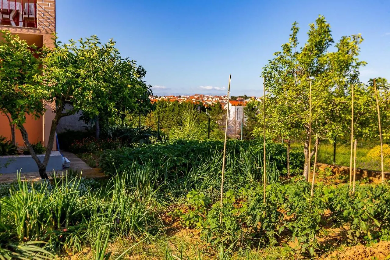 Chubi 2Br Apt Parking Terrace Bbq Vegetable Garden Zadar Croatia